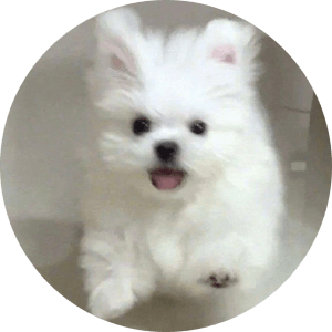 伊泽